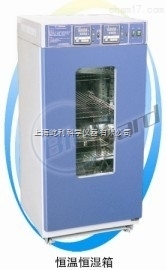 LHS-250SC 上海一恒 恒溫恒濕箱 培養箱